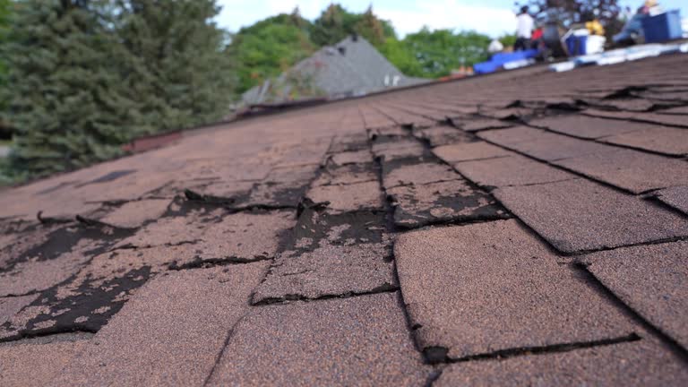 Best Roof Insulation Installation  in Salunga, PA